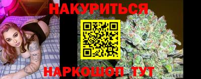 прущие крисы Будённовск